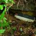 Batteries antennes relais