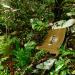 Batteries antennes relais